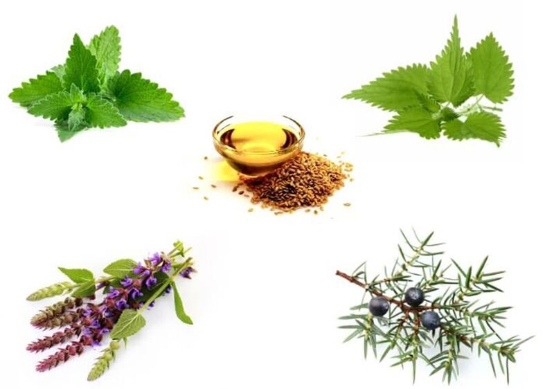 Μέντα, τσουκνίδα, θυμάρι, juniper και λινάρι